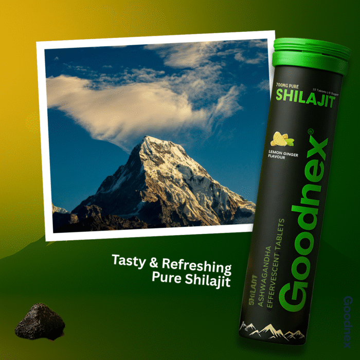 Goodnex Pure Shilajit Effervescent Tablets | Strength, Vitality & Stamina Booster - Image 3