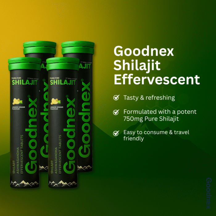 Goodnex Pure Shilajit Effervescent Tablets | Strength, Vitality & Stamina Booster - Image 4